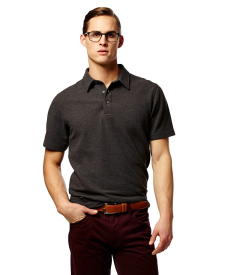 Vastrm Polo Image
