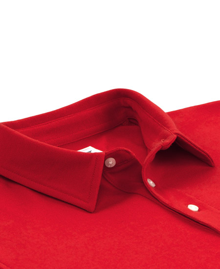 Vastrm Polo Image