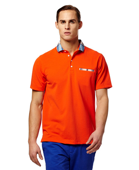 Vastrm Polo Image